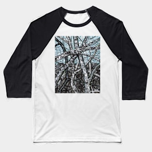 'Blue Ridge Ruminations #9' Baseball T-Shirt